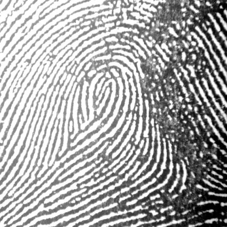 Fingerprint
