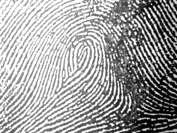 Fingerprint