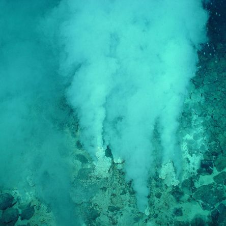 Hydrothermal vent