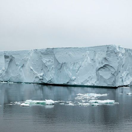 Iceberg