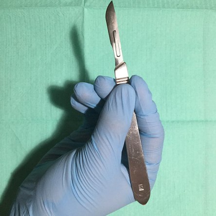 Scalpel