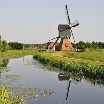 Polder