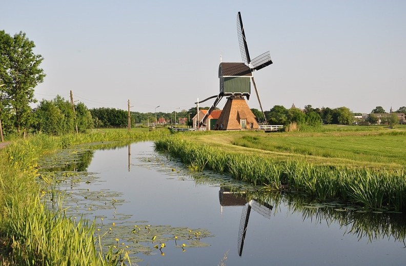Polder