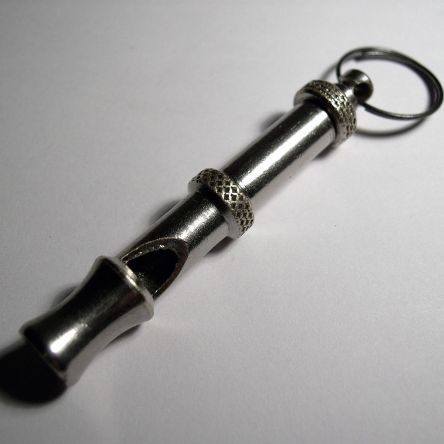 Dog whistle