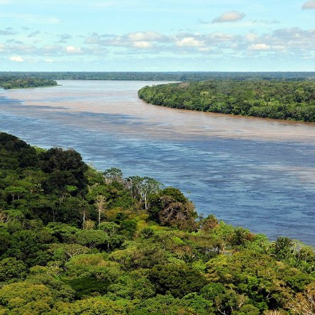 Amazon River