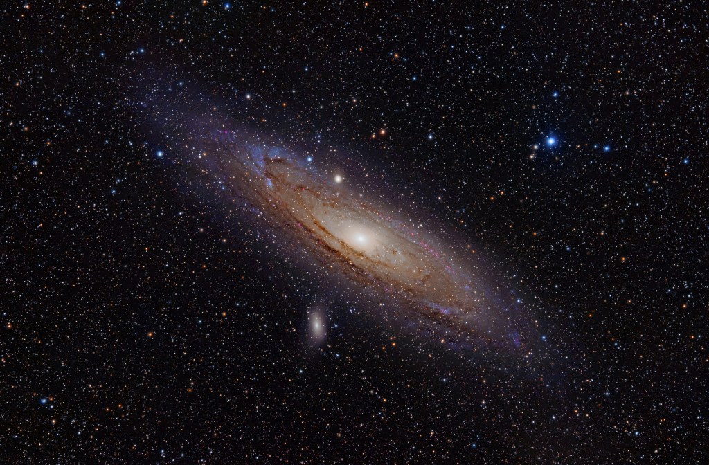 Andromeda 