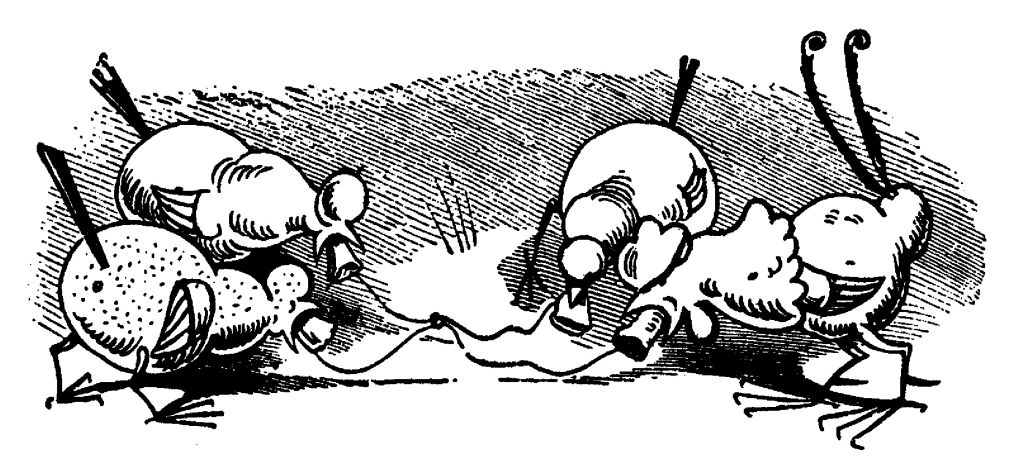 Max and Moritz's chickens