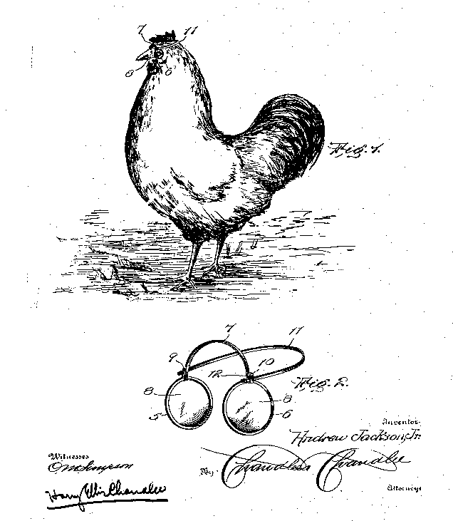 Chicken eyeglasses