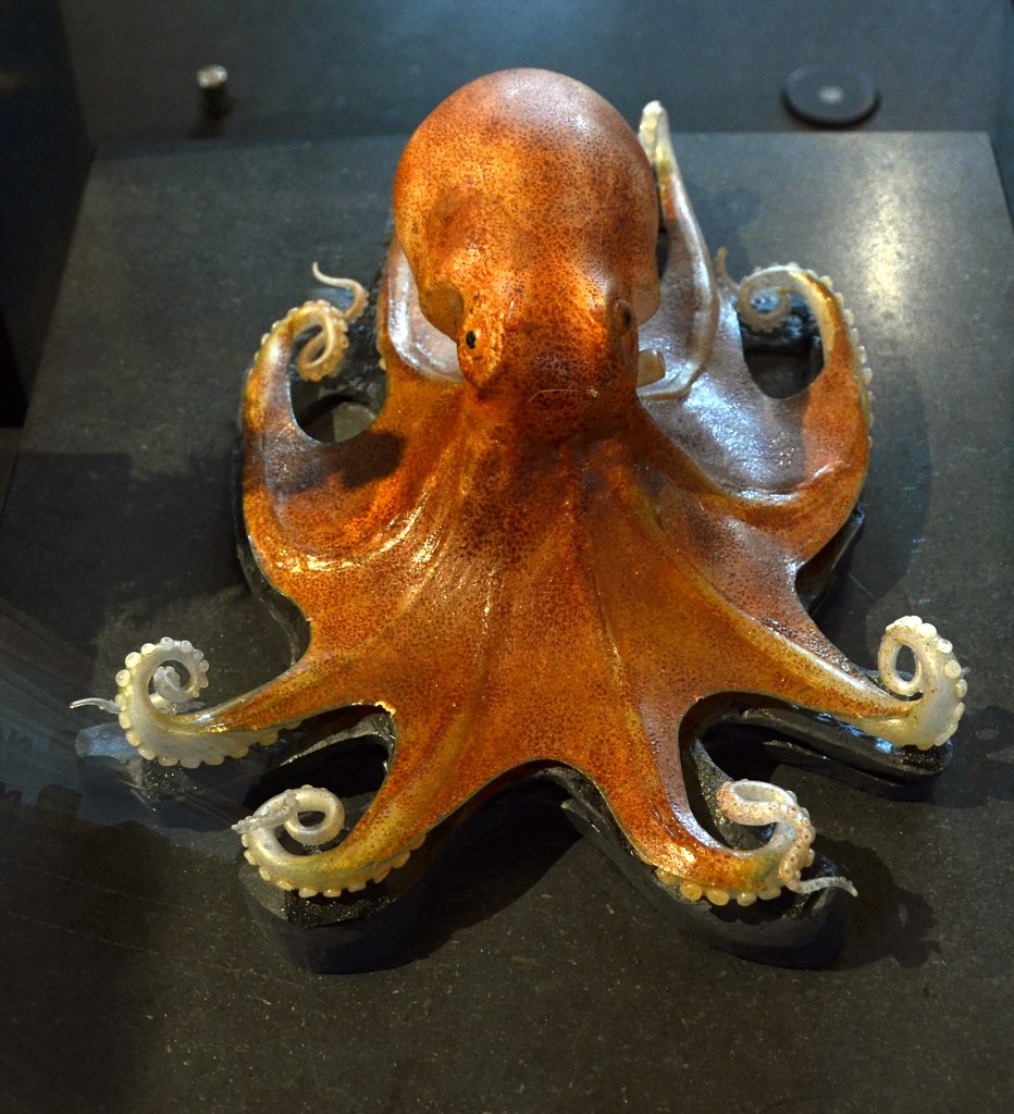 Glass octopus