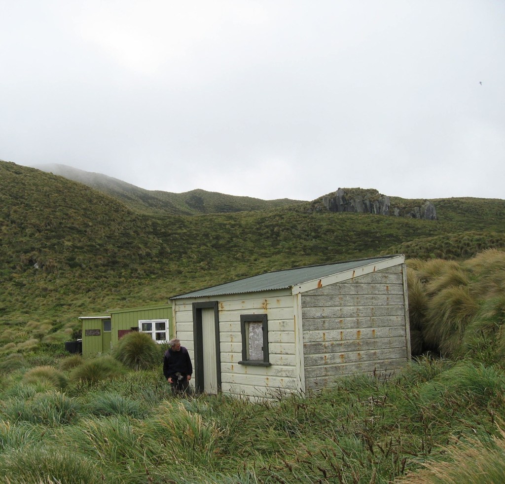 Castaway Hut on the Antipodes Islands
