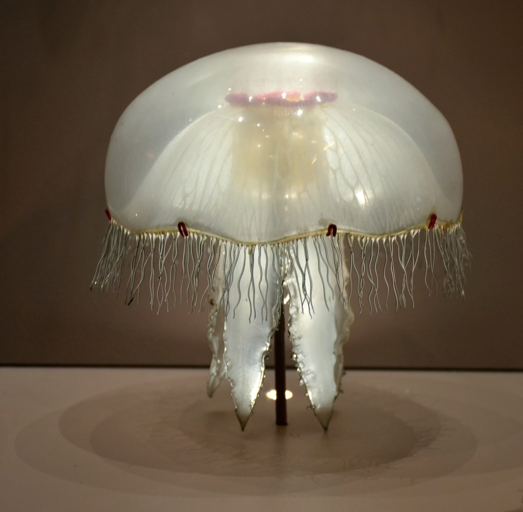 Glass jellyfish
