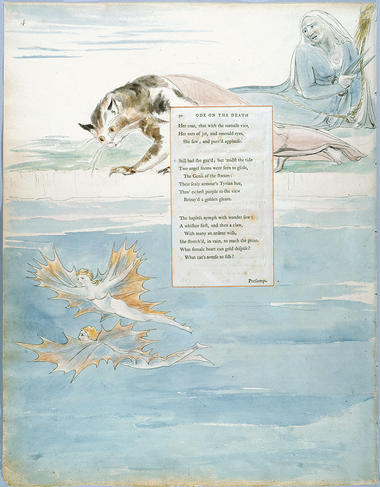 Ode on the Death of a Favourite Cat by Blake